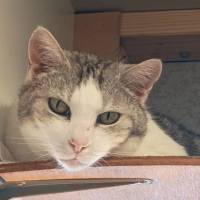 Photo of Sterling