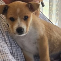 Photo of Pippa Roo