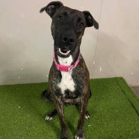 Photo of Narla