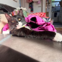 Photo of Dot & Dennis