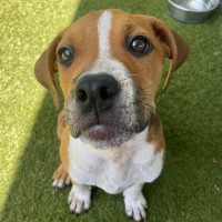 Photo of D1094 Fernando