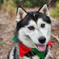 Photo of 🌪 Spiro 5596 🌪