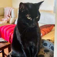 Photo of 💚 Mali 💚