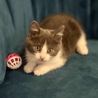 Photo of 💙 Kaycee 💙