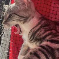 Photo of Otis And Reading