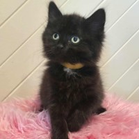 Photo of 💜 Winnie 💜