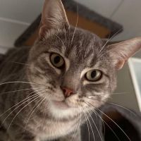Photo of Leo