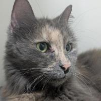 Photo of 💞 Tilly 6927 💞