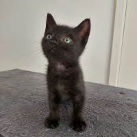 Photo of Bill