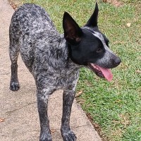 Photo of Bizzy