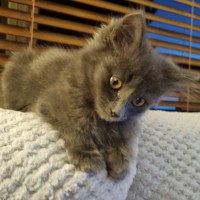 Photo of Macy 