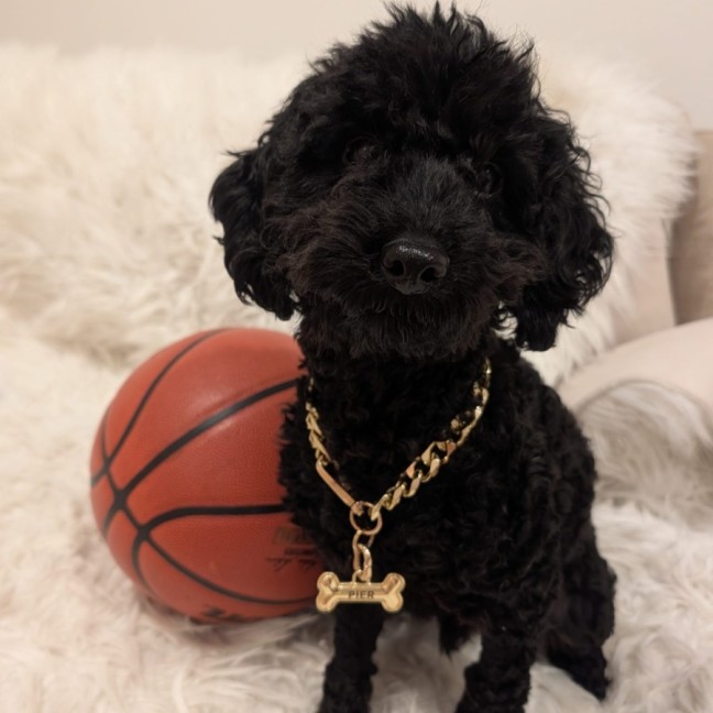 Photo of Kobe