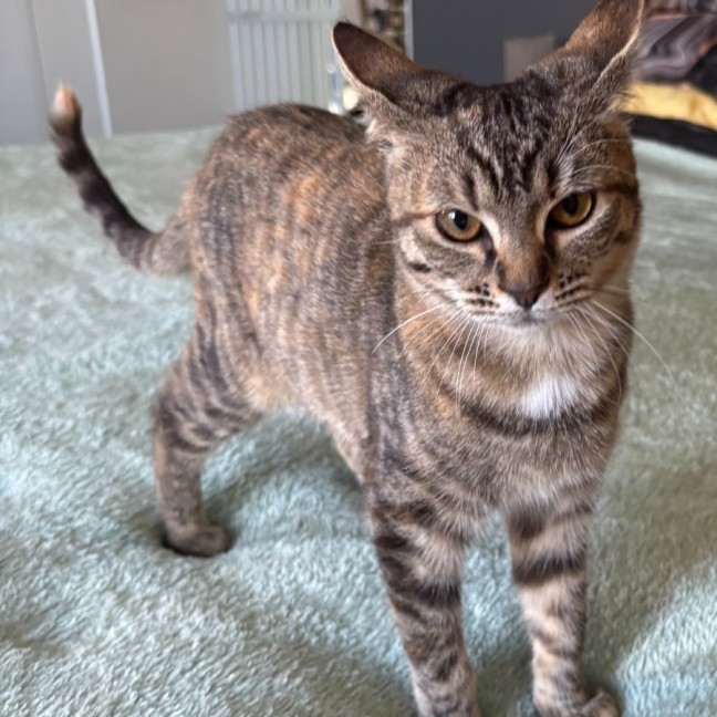Photo of Sweetie