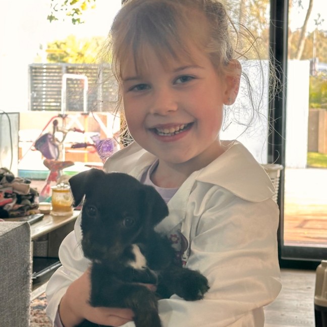 Photo of Millie ❤️🌞