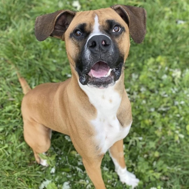 Photo of Arlo