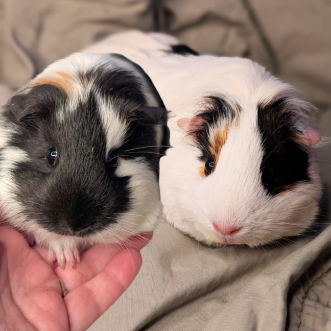 Photo of Pussy Galore & Dr. Christmas Jones