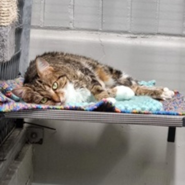 Photo of Mildred