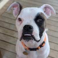 Photo of Ricky Jon Jiggy