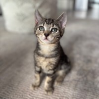 Photo of Pocket