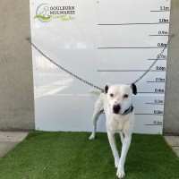 Photo of Sam