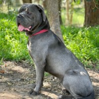 Photo of Lola