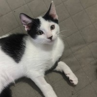 Photo of Parker 🧡💙