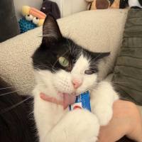 Photo of Esme