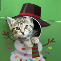 Photo of Ruffnut