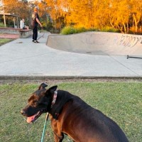 Photo of Dj