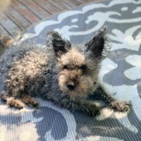 Photo of Ruben