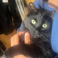 Photo of River & Genevieve