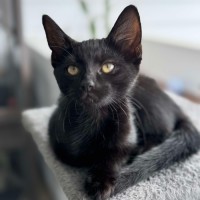 Photo of 💜 Charlie 💜