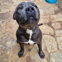 Photo of Huey