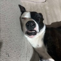 Photo of Sammy