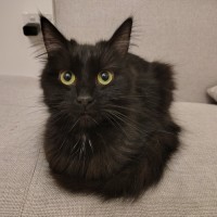 Photo of Twirl