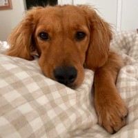 Photo of Salty
