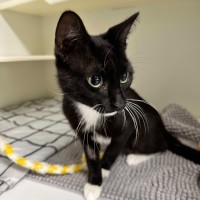 Photo of 🥚 Benedict 5765 🥚