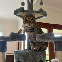 Photo of Leo