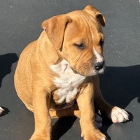 Photo of Knox