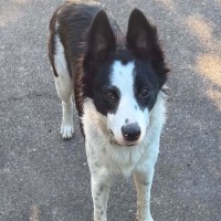 Photo of Vera