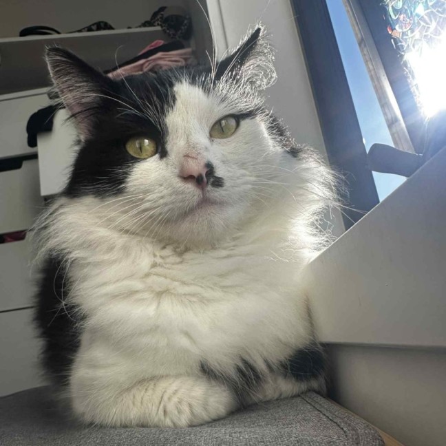 Photo of Chuck Taylor   Meet Me @ Petstock Prahran!