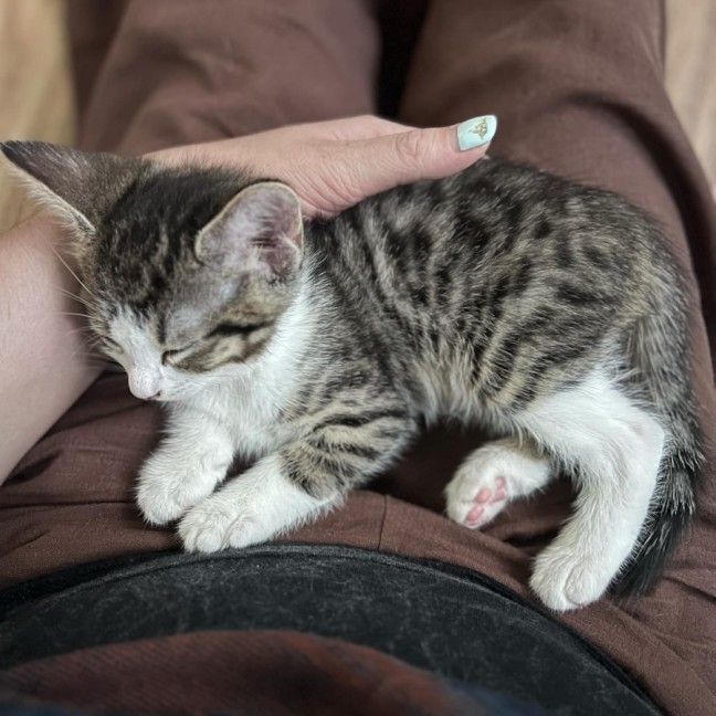 Photo of Ciri