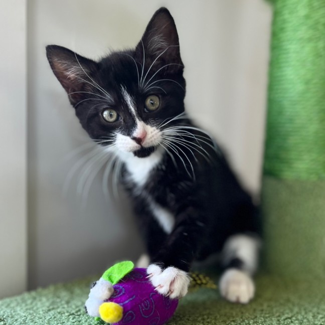 Photo of 🖤 Jimi 🖤