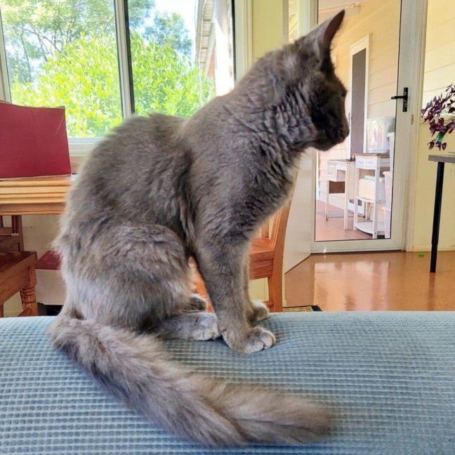 Photo of Dolly Purrton