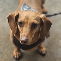 Photo of Chanel