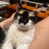 Photo of Bella