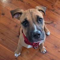 Photo of Luca