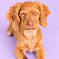 Photo of Kenzo