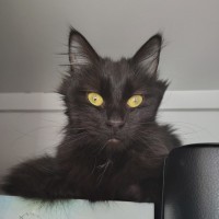 Photo of Twirl
