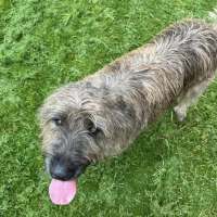 Photo of Murphy